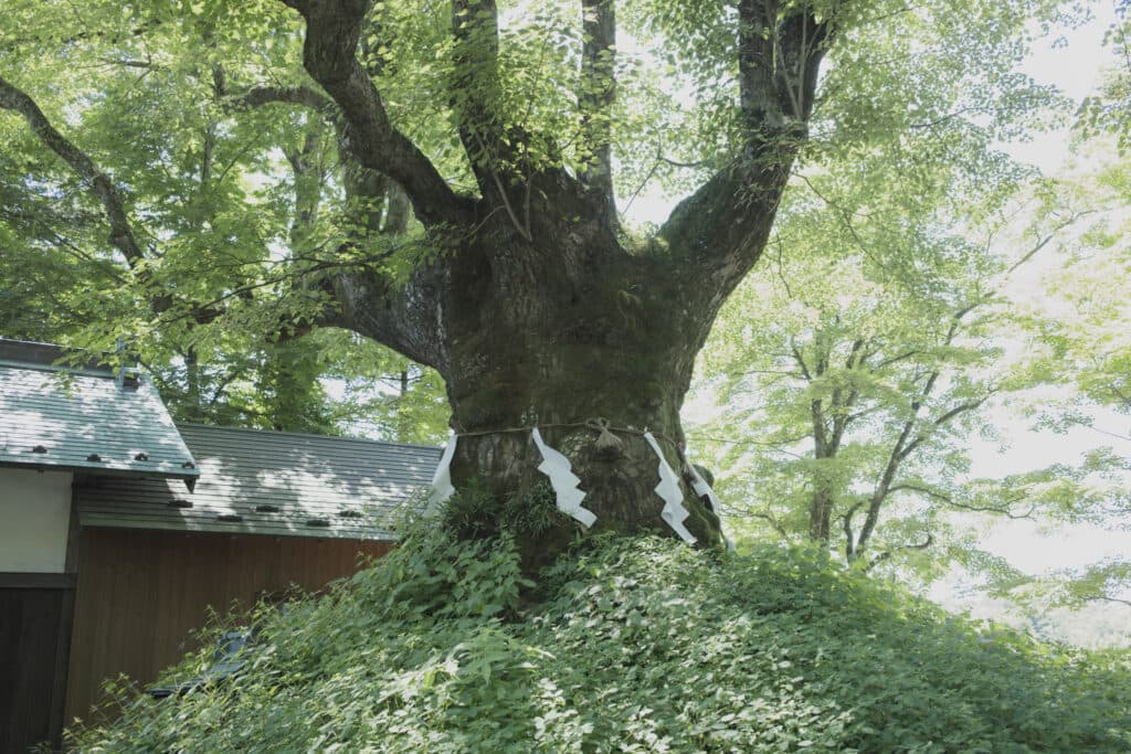 熊野皇大神社