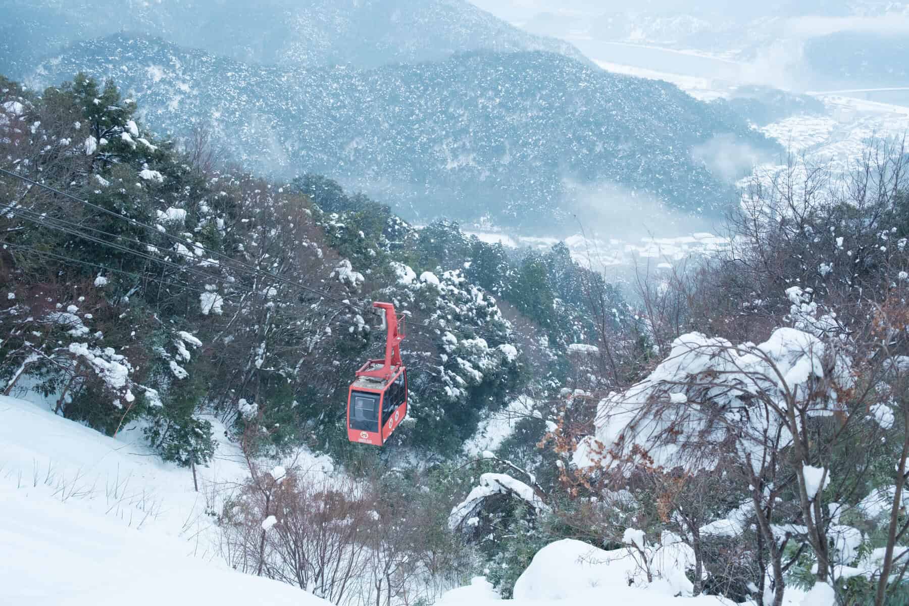 山頂的冰咖啡